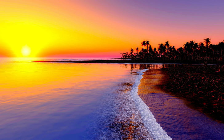 beach,  tropics, sea, sand, palm trees, sunset